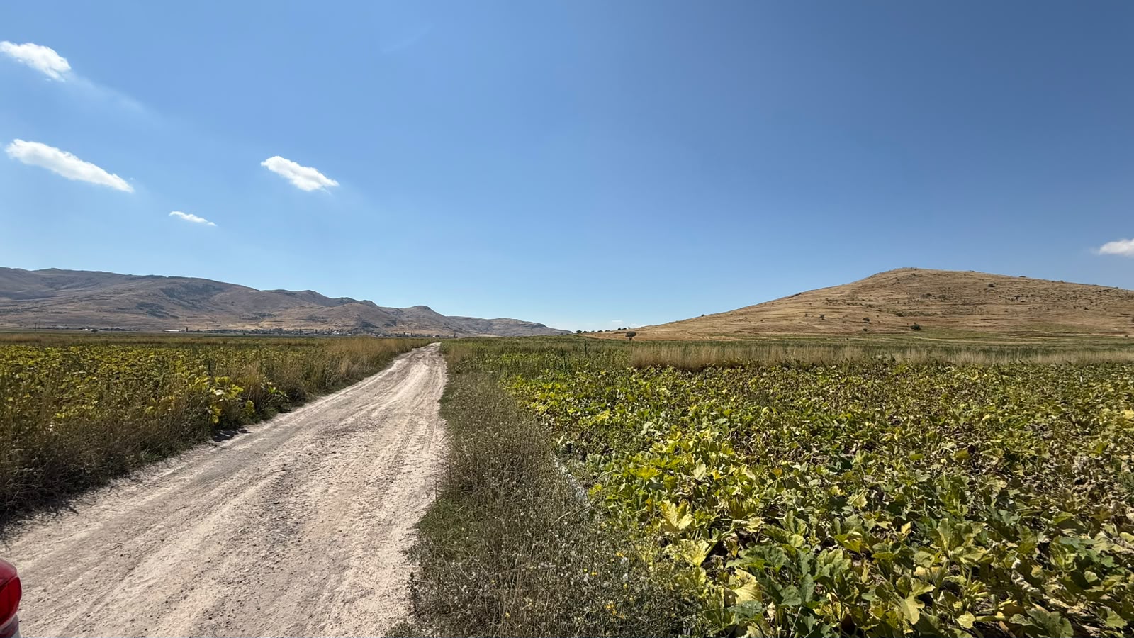KAYSERİ DEVELİ AYVAZHACI MAHALLESİNDE SATILIK 2 PARÇA TARLA